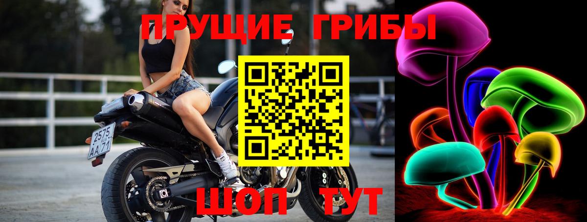 Псилоцибиновые грибы Psilocybine cubensis  Вход с VPN  Галлюциногенные грибы Psilocybe  Алушта 